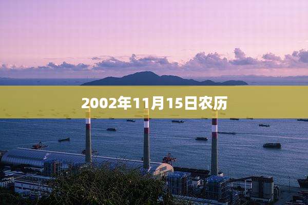 2002年11月15日农历