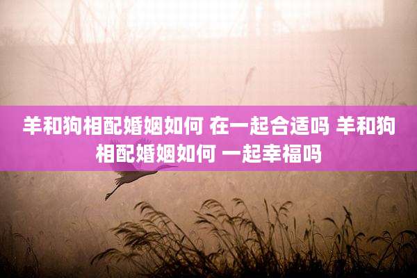 羊和狗相配婚姻如何 在一起合适吗 羊和狗相配婚姻如何 一起幸福吗