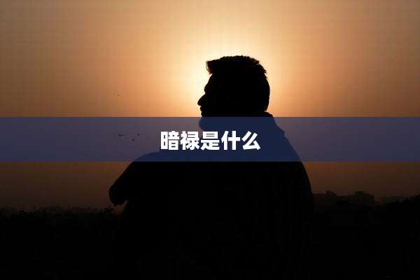 暗禄是什么