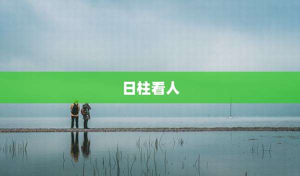 日柱看人