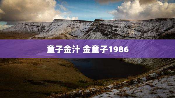 童子金汁 金童子1986
