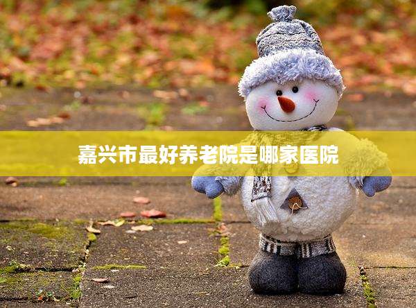 嘉兴市最好养老院是哪家医院