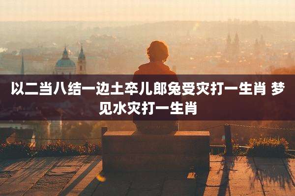 以二当八结一边土卒儿郎兔受灾打一生肖 梦见水灾打一生肖