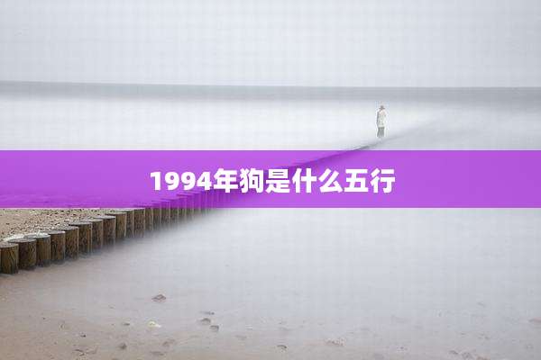 1994年狗是什么五行