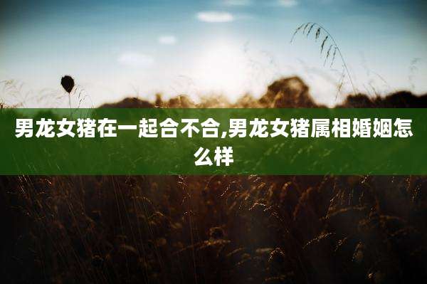 男龙女猪在一起合不合,男龙女猪属相婚姻怎么样