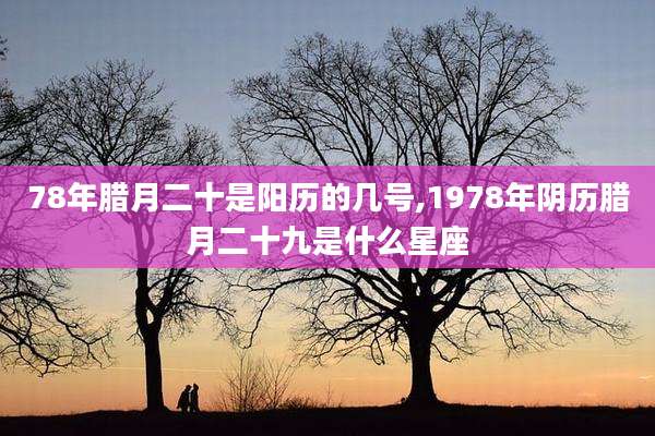 78年腊月二十是阳历的几号,1978年阴历腊月二十九是什么星座