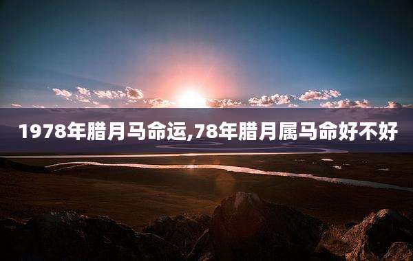 1978年腊月马命运,78年腊月属马命好不好