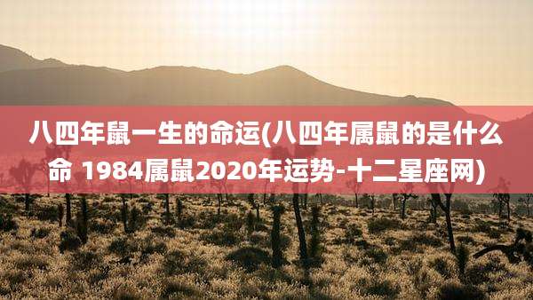 八四年鼠一生的命运(八四年属鼠的是什么命 1984属鼠2020年运势-十二星座网)