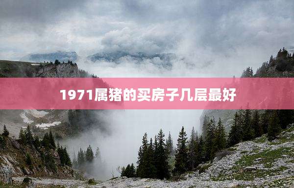 1971属猪的买房子几层最好