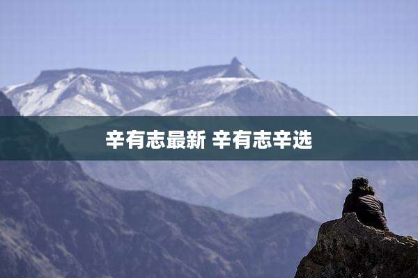 辛有志最新 辛有志辛选