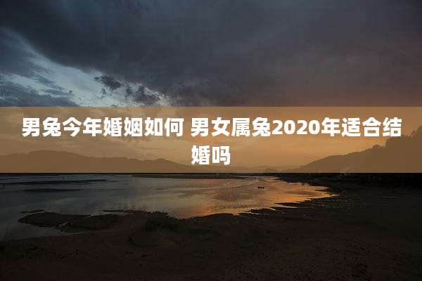 男兔今年婚姻如何 男女属兔2020年适合结婚吗