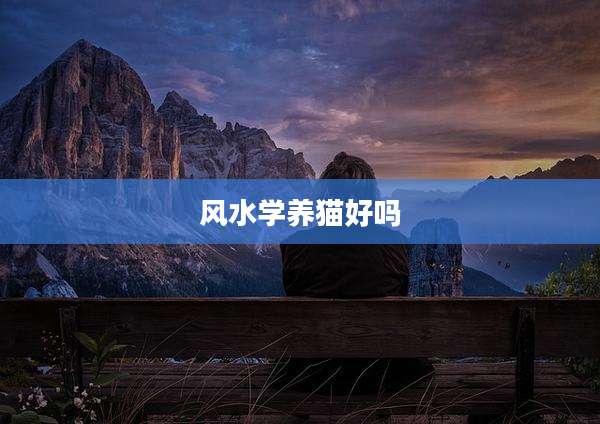 风水学养猫好吗