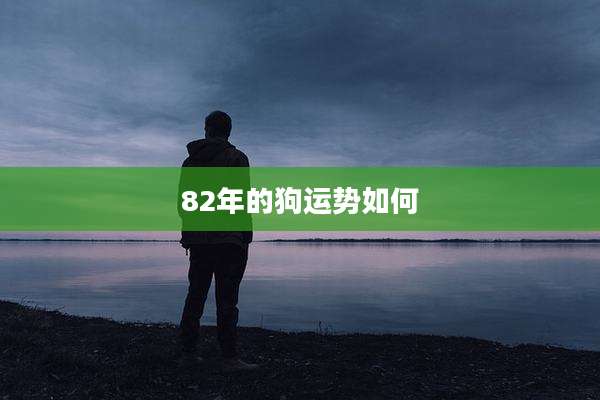 82年的狗运势如何