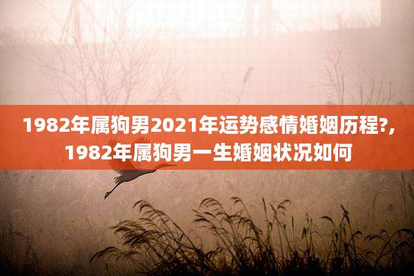 1982年属狗男2021年运势感情婚姻历程?,1982年属狗男一生婚姻状况如何