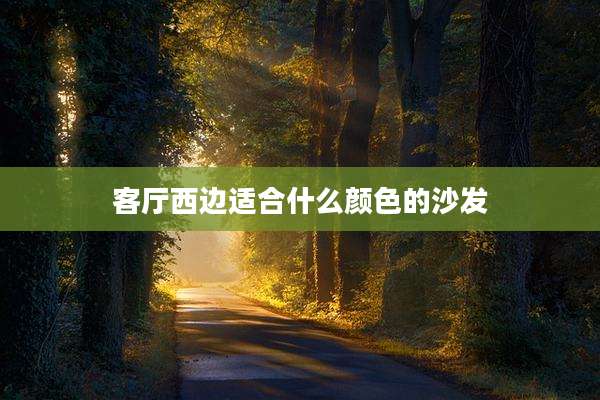 客厅西边适合什么颜色的沙发