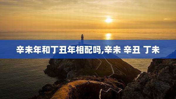 辛未年和丁丑年相配吗,辛未 辛丑 丁未
