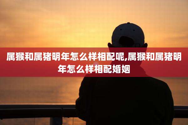属猴和属猪明年怎么样相配呢,属猴和属猪明年怎么样相配婚姻