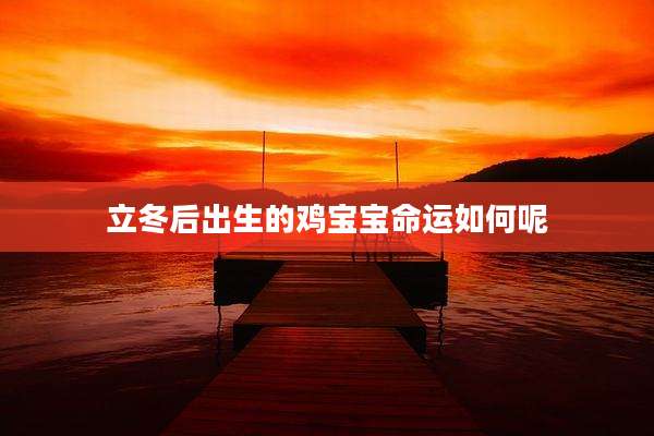 立冬后出生的鸡宝宝命运如何呢