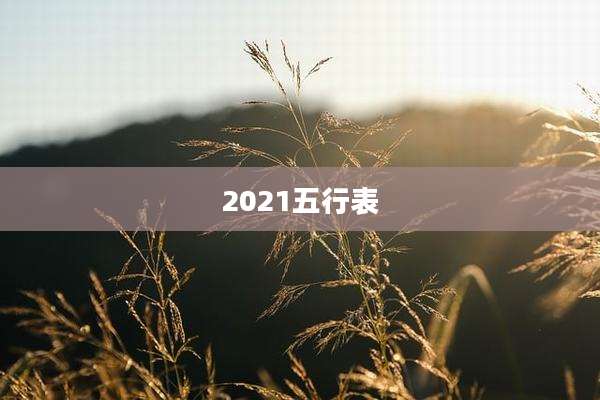 2021五行表