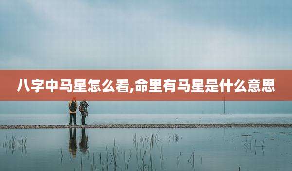 八字中马星怎么看,命里有马星是什么意思