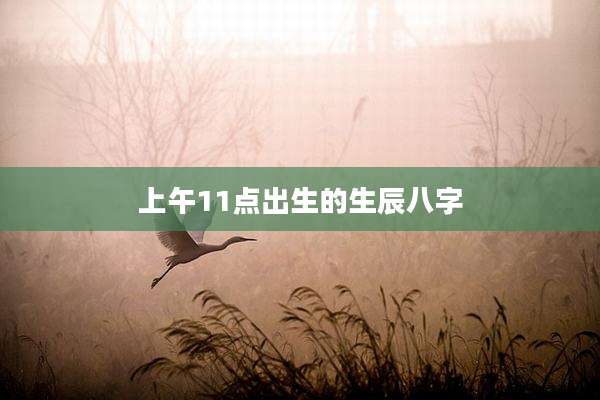 上午11点出生的生辰八字