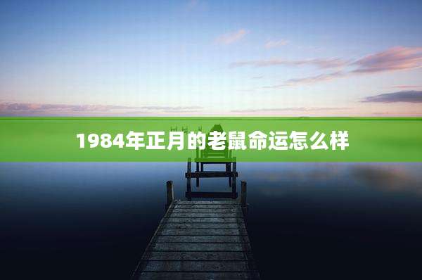 1984年正月的老鼠命运怎么样