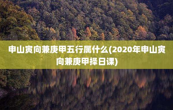 申山寅向兼庚甲五行属什么(2020年申山寅向兼庚甲择日课)