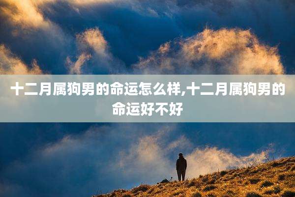 十二月属狗男的命运怎么样,十二月属狗男的命运好不好