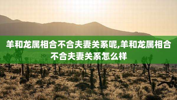 羊和龙属相合不合夫妻关系呢,羊和龙属相合不合夫妻关系怎么样