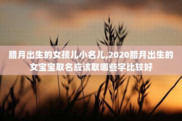 腊月出生的女孩儿小名儿,2020腊月出生的女宝宝取名应该取哪些字比较好