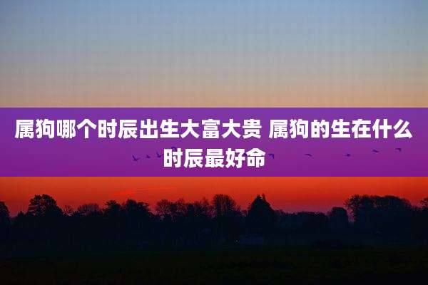 属狗哪个时辰出生大富大贵 属狗的生在什么时辰最好命