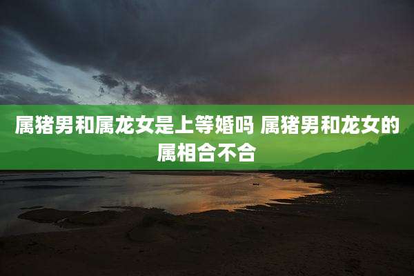属猪男和属龙女是上等婚吗 属猪男和龙女的属相合不合