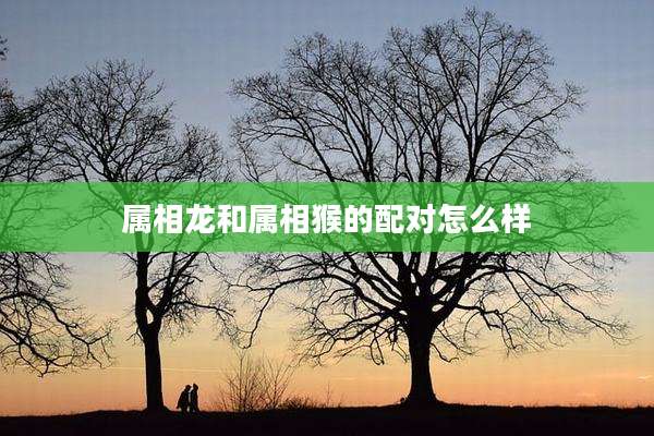 属相龙和属相猴的配对怎么样