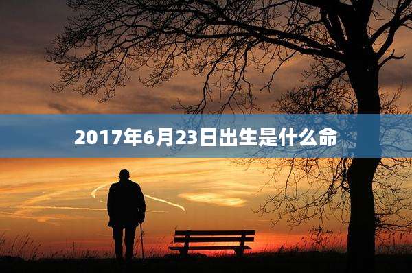 2017年6月23日出生是什么命