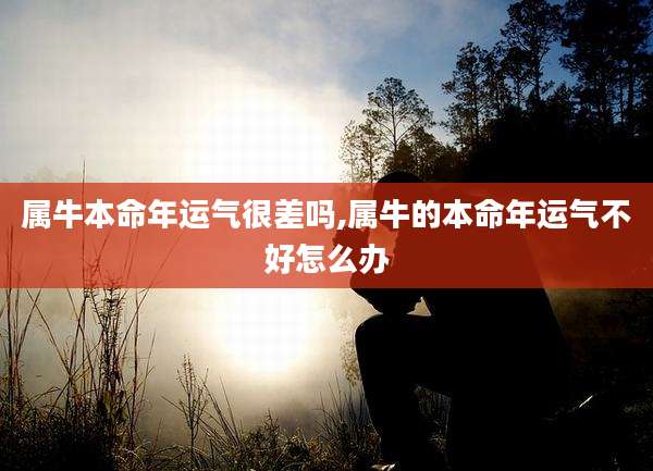 属牛本命年运气很差吗,属牛的本命年运气不好怎么办