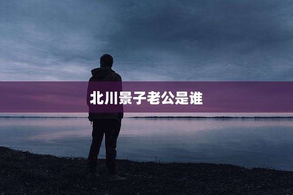 北川景子老公是谁