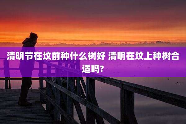 清明节在坟前种什么树好 清明在坟上种树合适吗?