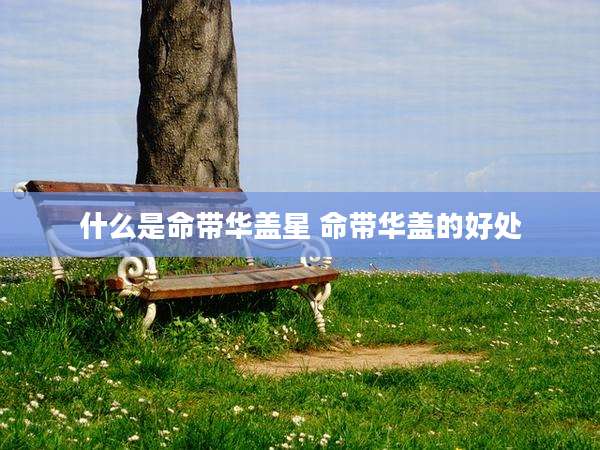 什么是命带华盖星 命带华盖的好处
