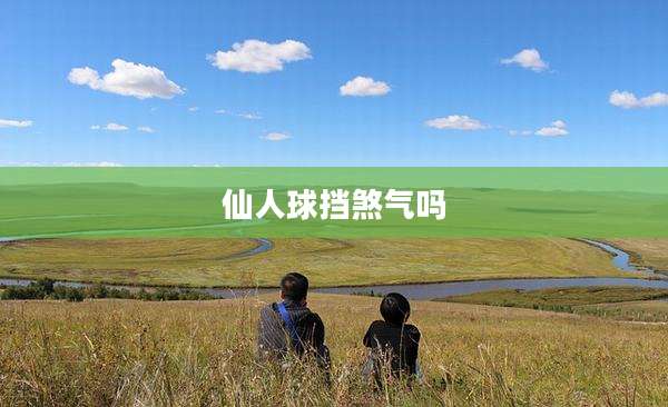 仙人球挡煞气吗