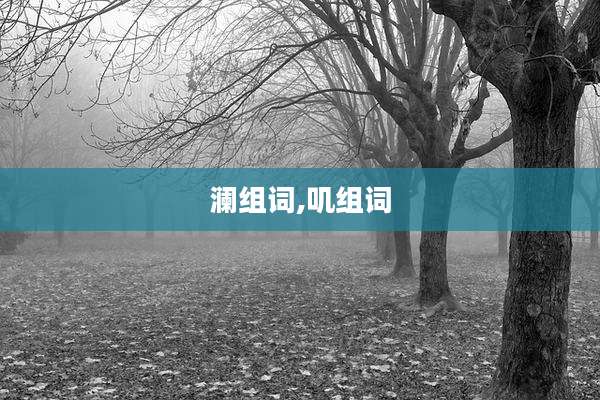 澜组词,叽组词