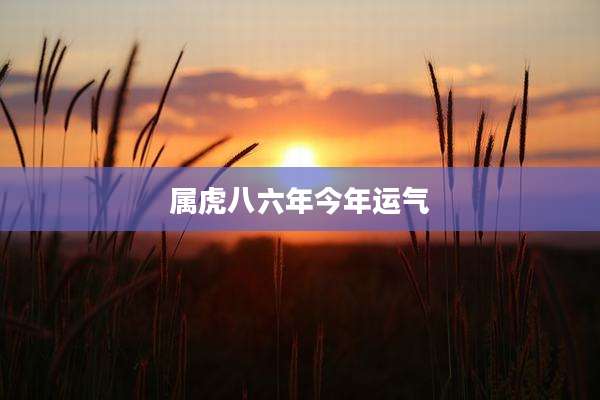 属虎八六年今年运气