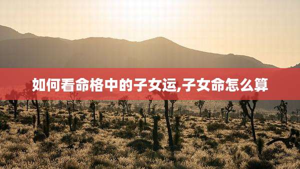如何看命格中的子女运,子女命怎么算