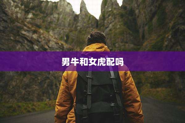 男牛和女虎配吗