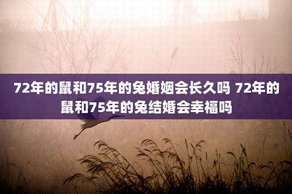 72年的鼠和75年的兔婚姻会长久吗 72年的鼠和75年的兔结婚会幸福吗