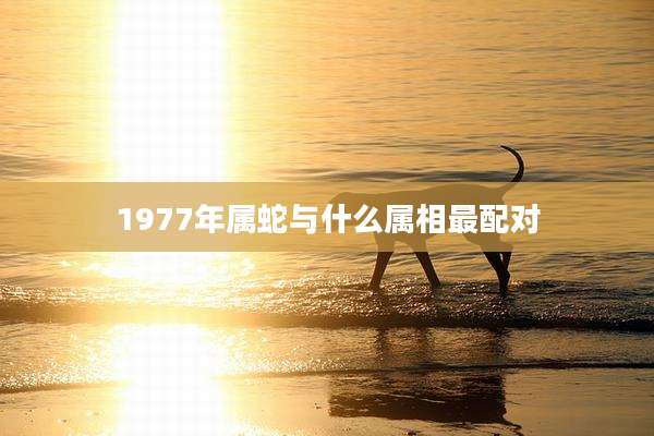 1977年属蛇与什么属相最配对