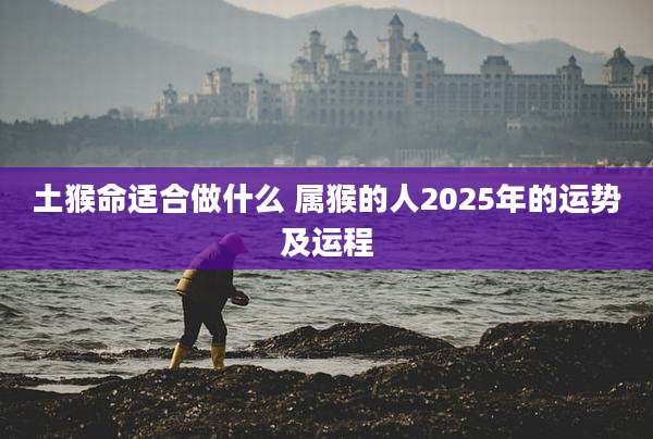 土猴命适合做什么 属猴的人2025年的运势及运程
