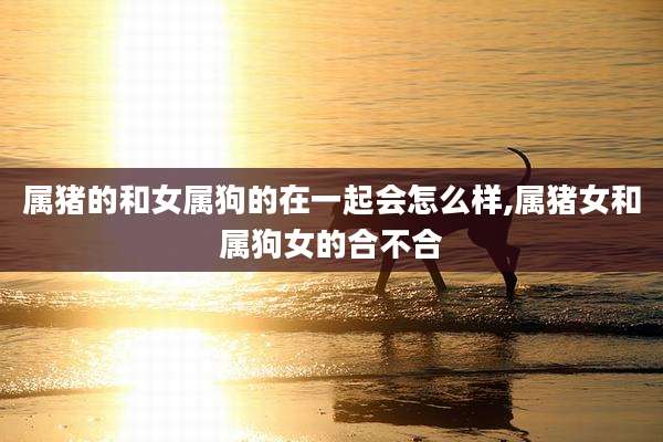 属猪的和女属狗的在一起会怎么样,属猪女和属狗女的合不合
