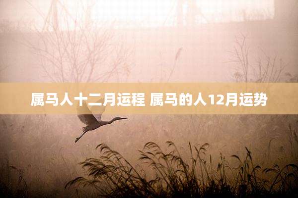 属马人十二月运程 属马的人12月运势
