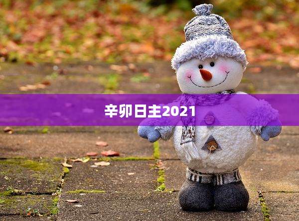 辛卯日主2021