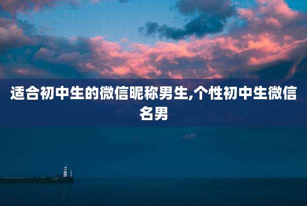 适合初中生的微信昵称男生,个性初中生微信名男